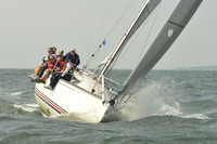 2015 Vineyard Race A 509