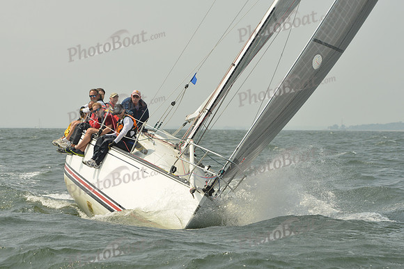 2015 Vineyard Race A 509