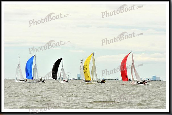 proof_2010_EScows_A 1494