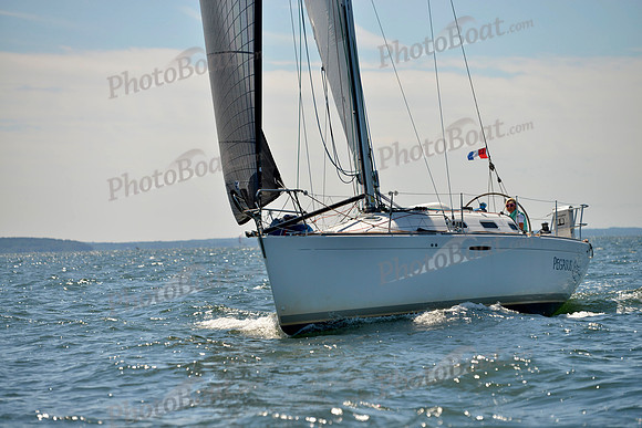 2017 Vineyard Race A_0936