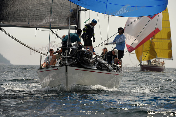 2016 Chester Race Week C 535