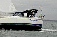 2009 J105 NAs D 1246