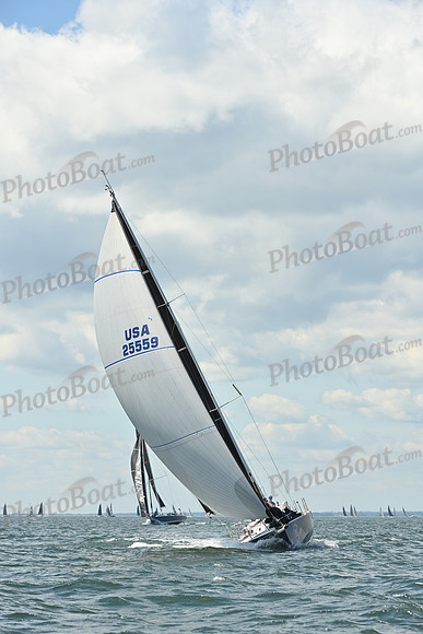 2026 Vineyard Race A_0435