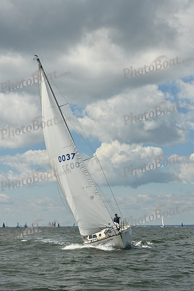 2026 Vineyard Race A_0184