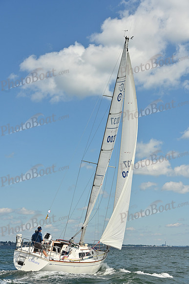 2026 Vineyard Race A_0199