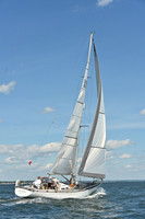 2026 Vineyard Race A_0853