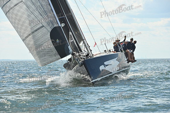 2026 Vineyard Race A_1603