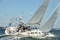 2026 Vineyard Race A_0375