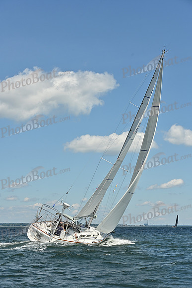 2026 Vineyard Race A_0376