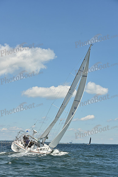 2026 Vineyard Race A_0377