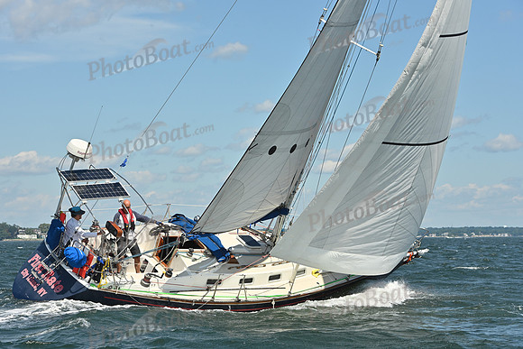 2026 Vineyard Race A_0428