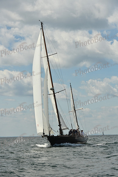 2026 Vineyard Race A_0237