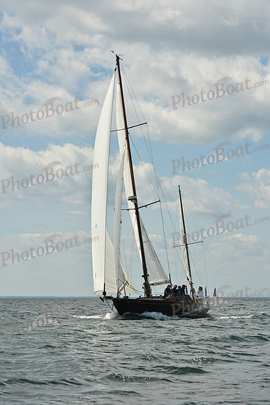 2026 Vineyard Race A_0236