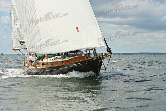 2026 Vineyard Race A_0247