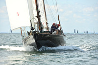 2026 Vineyard Race A_0240