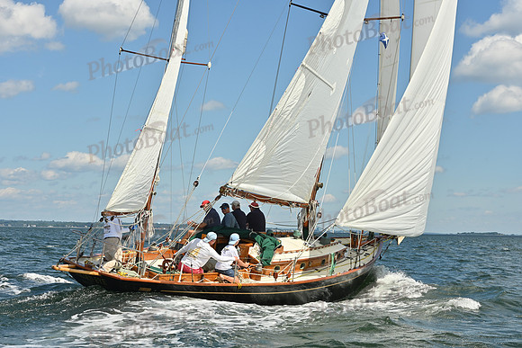 2026 Vineyard Race A_0258