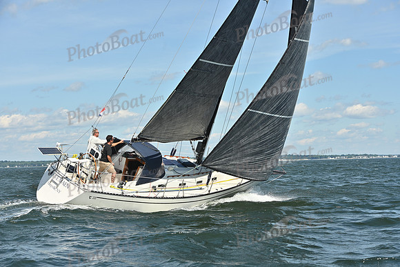 2026 Vineyard Race A_0608
