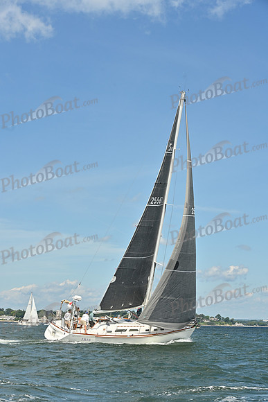 2026 Vineyard Race A_0115