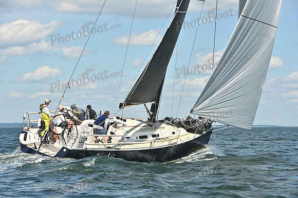 2026 Vineyard Race A_1181