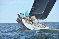 2026 Vineyard Race A_1696