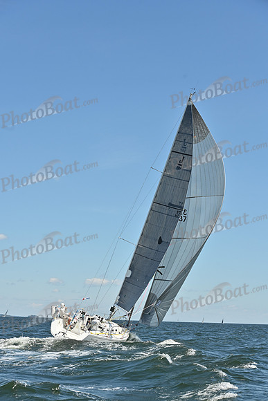 2026 Vineyard Race A_0518