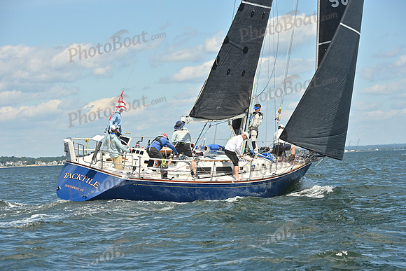 2026 Vineyard Race A_0810
