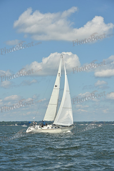 2026 Vineyard Race A_0096