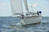 2026 Vineyard Race A_0107