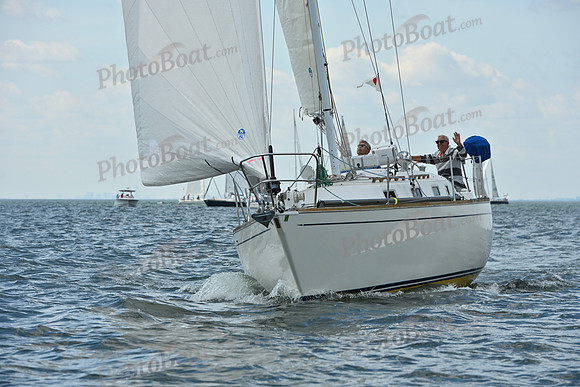 2026 Vineyard Race A_0107