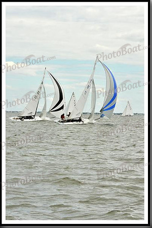 proof_2010_EScows_A 685