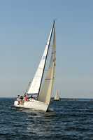 2011 Vineyard Race A 183