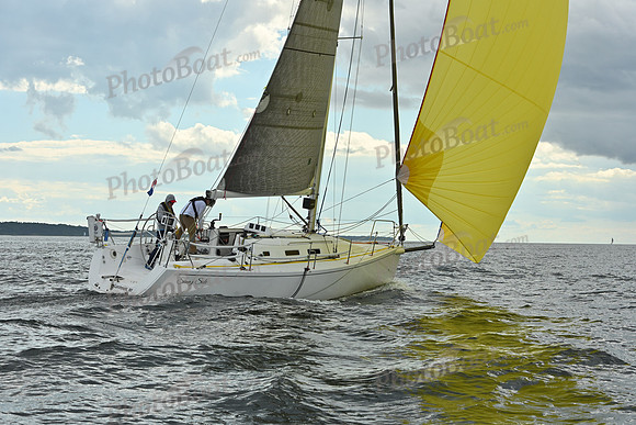 PHB_3082