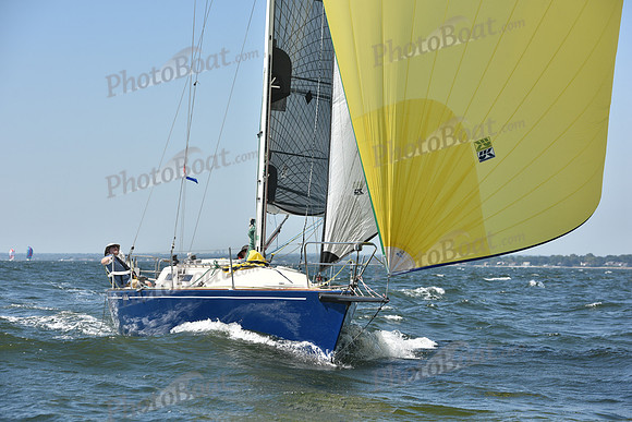 2019 Vineyard Race A_0947