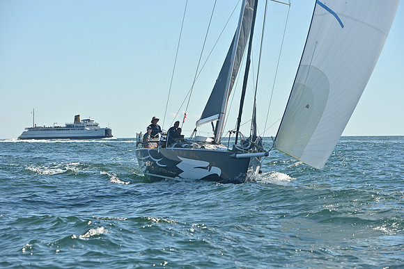 PHB_2342