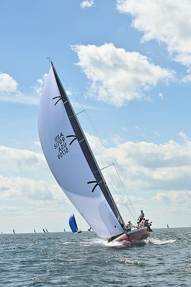 2026 Vineyard Race A_1337