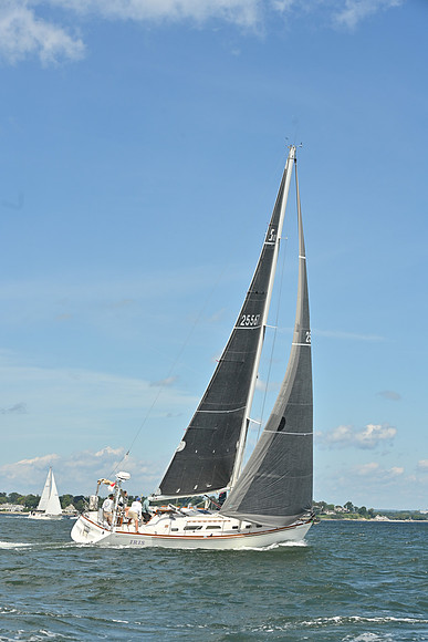 2026 Vineyard Race A_0115