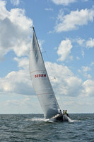 2026 Vineyard Race A_0679
