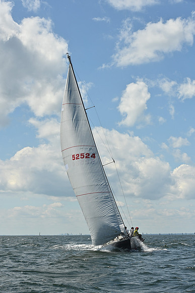 2026 Vineyard Race A_0679