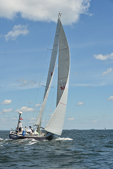 2026 Vineyard Race A_0702