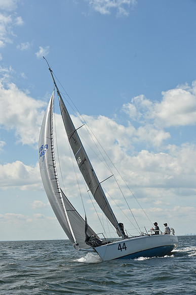 2026 Vineyard Race A_0587