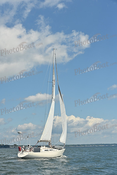 2026 Vineyard Race A_0001