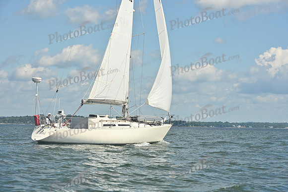 2026 Vineyard Race A_0003