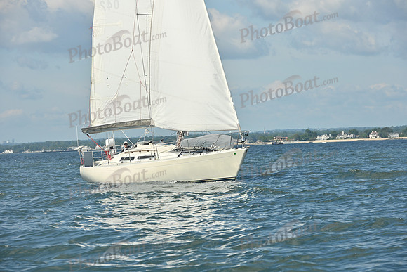 2026 Vineyard Race A_0009