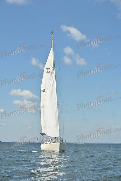2026 Vineyard Race A_0012