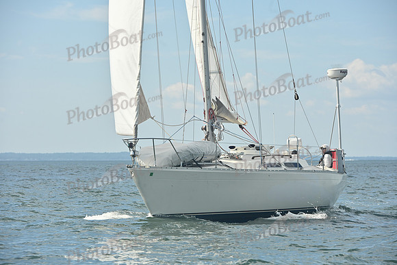 2026 Vineyard Race A_0015