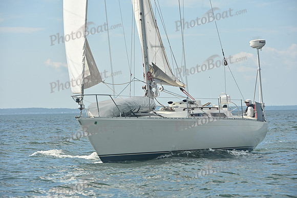 2026 Vineyard Race A_0016