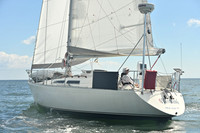 2026 Vineyard Race A_0017
