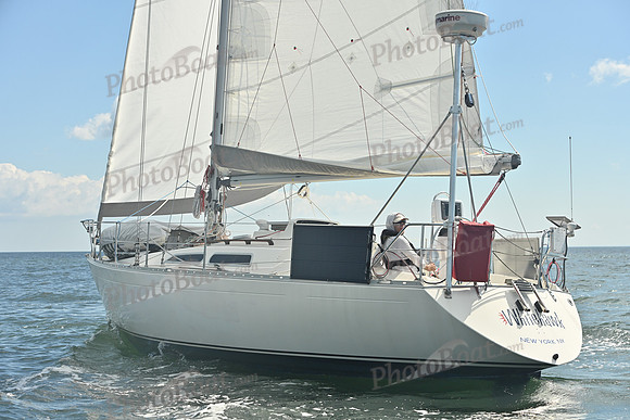 2026 Vineyard Race A_0017