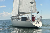 2026 Vineyard Race A_0018