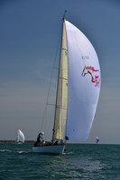 2019 Figawi_1185
